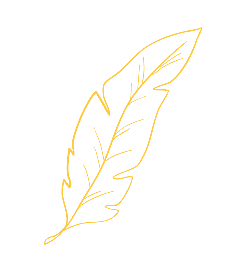 Group 3 1.png